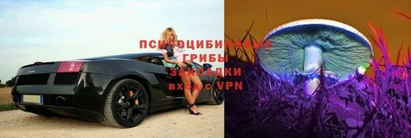 дживик Новодвинск