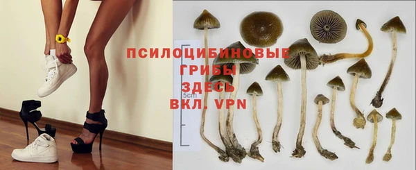эйфоретик Новокубанск