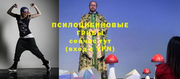 apvp Новозыбков
