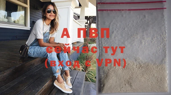спайс Бикин