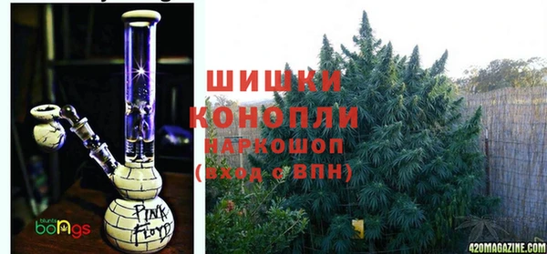 дживик Новодвинск