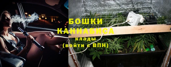 дживик Новодвинск