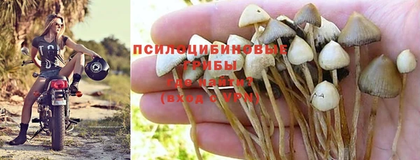 эйфоретик Новокубанск