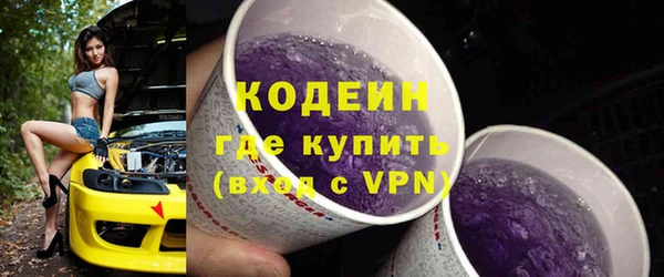 дживик Новодвинск