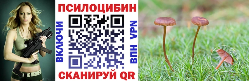 Псилоцибиновые грибы мицелий  Южно-Сахалинск 