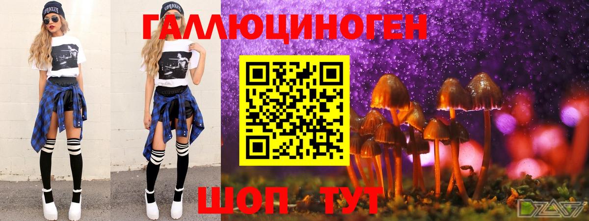 Псилоцибиновые грибы Psilocybe Южно-Сахалинск